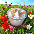 Load image into Gallery viewer, Signature (Marvelous Light Candle Line) Top Sellers